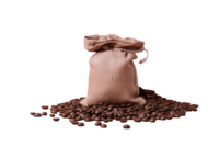 Verde - Café Tima